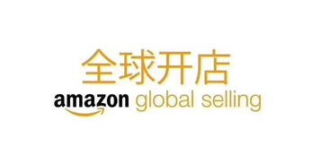 跨境电商亚马逊店群培训 erp系统定制无限开