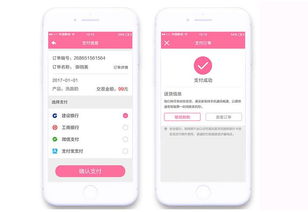b2c电商app开发方案定制