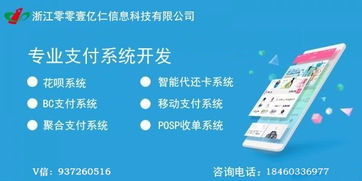 台州聚合支付智能代还卡app开发定制价格